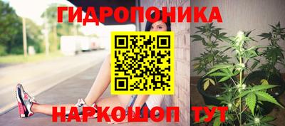 ECSTASY Пенза